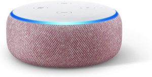 Echo Dot Prune