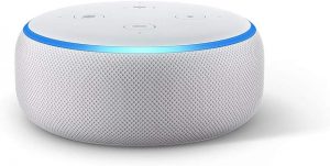 Echo Dot Sable